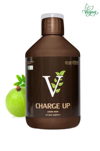 CHARGE UP (VEGÁN)